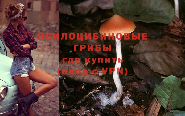 MDMA Богородицк