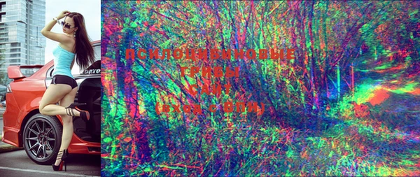 MDMA Богородицк
