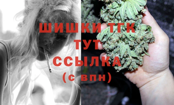 скорость Богородск