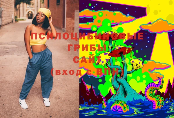 бошки Богданович