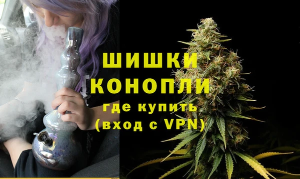 бошки Богданович