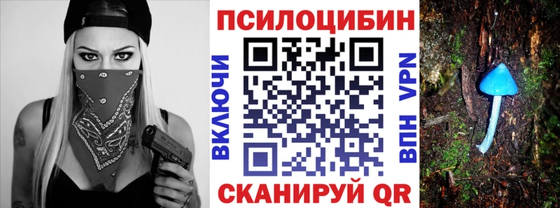Псилоцибиновые грибы ЛСД где купить Кедровый